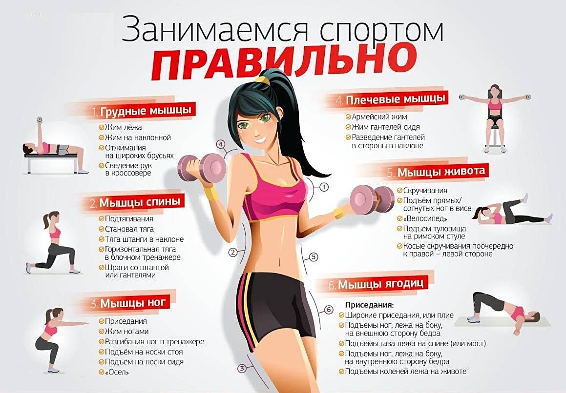 Тренировка для похудения для девушек в тренажерном зале