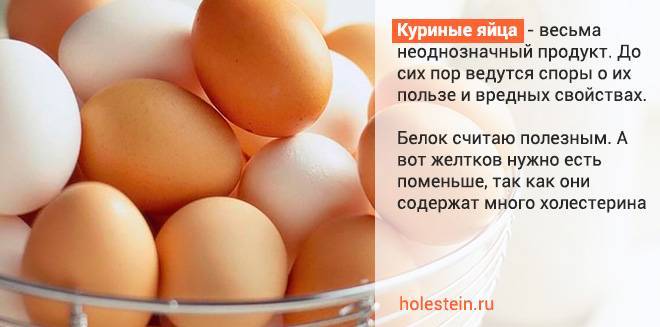 Холестерин в куриных яйцах: сколько содержится (новые научные исследования), повышают ли уровень