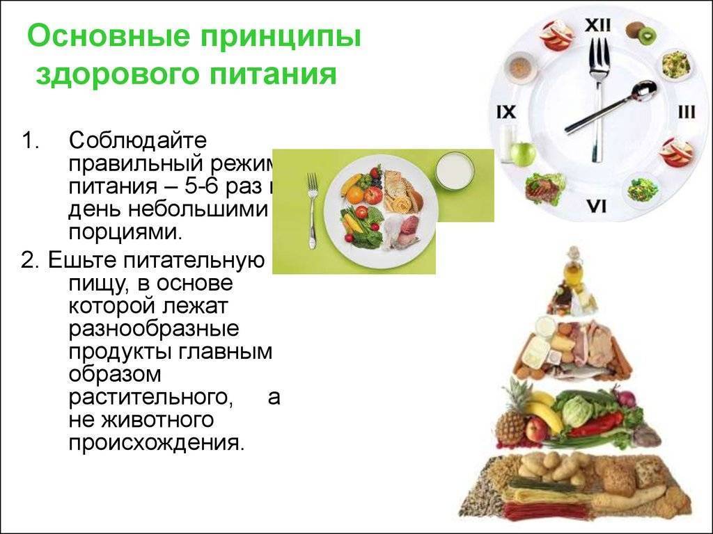 Правильный режим питания и распорядок дня - часы приема пищи и интервалы между едой