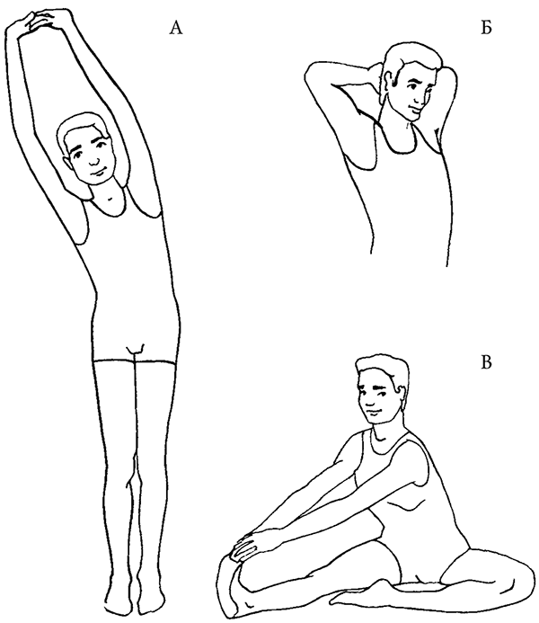 ‍♀ легкие упражнения для растяжки рук и плечевого пояса на 2022 год