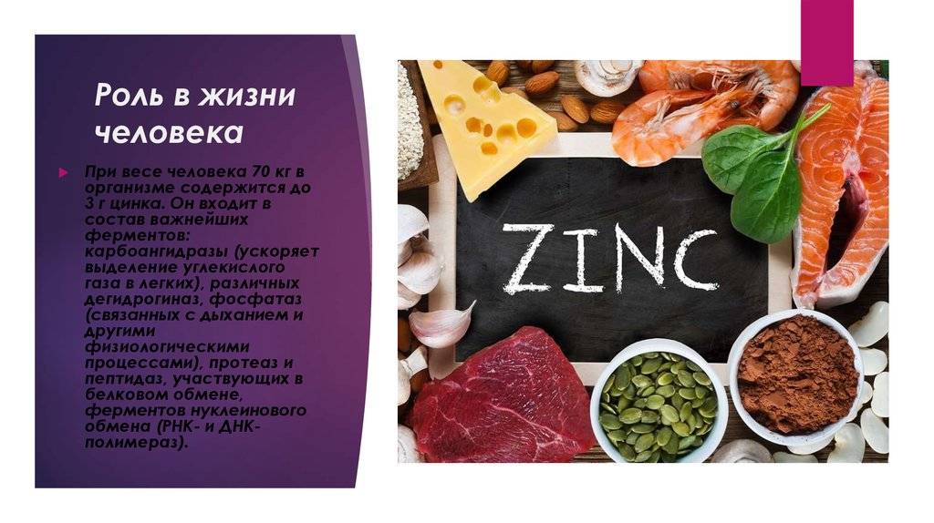 Продукты богатые цинком (zn)