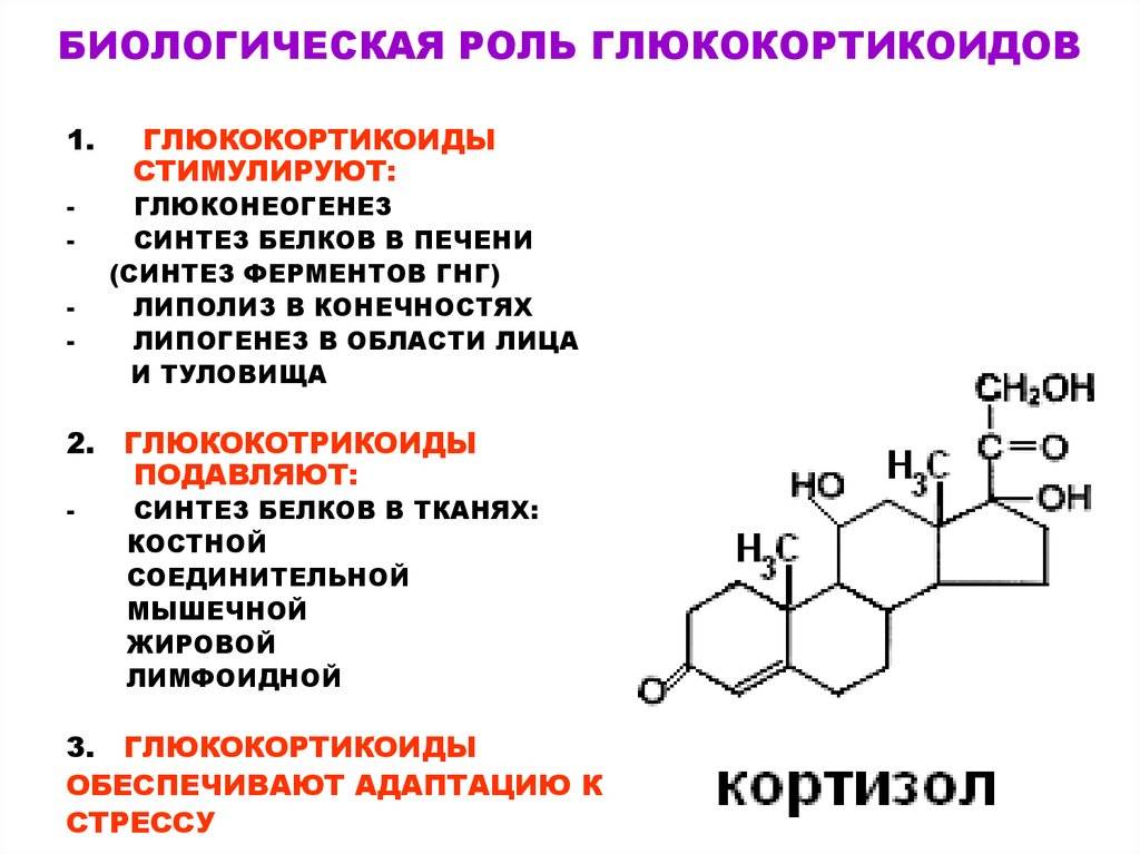 Адренокортикотропный гормон и кортизол: их взаимосвязь, нормальное значение и причины отклонения от нормы