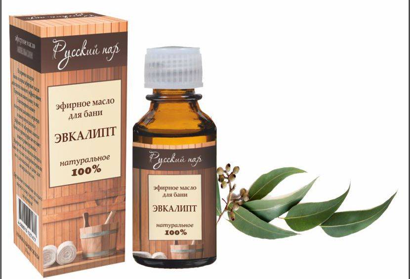 Эфирное масло эвкалипта (eucalyptus globulus) — свойства, применение, польза и вред — aroma joy