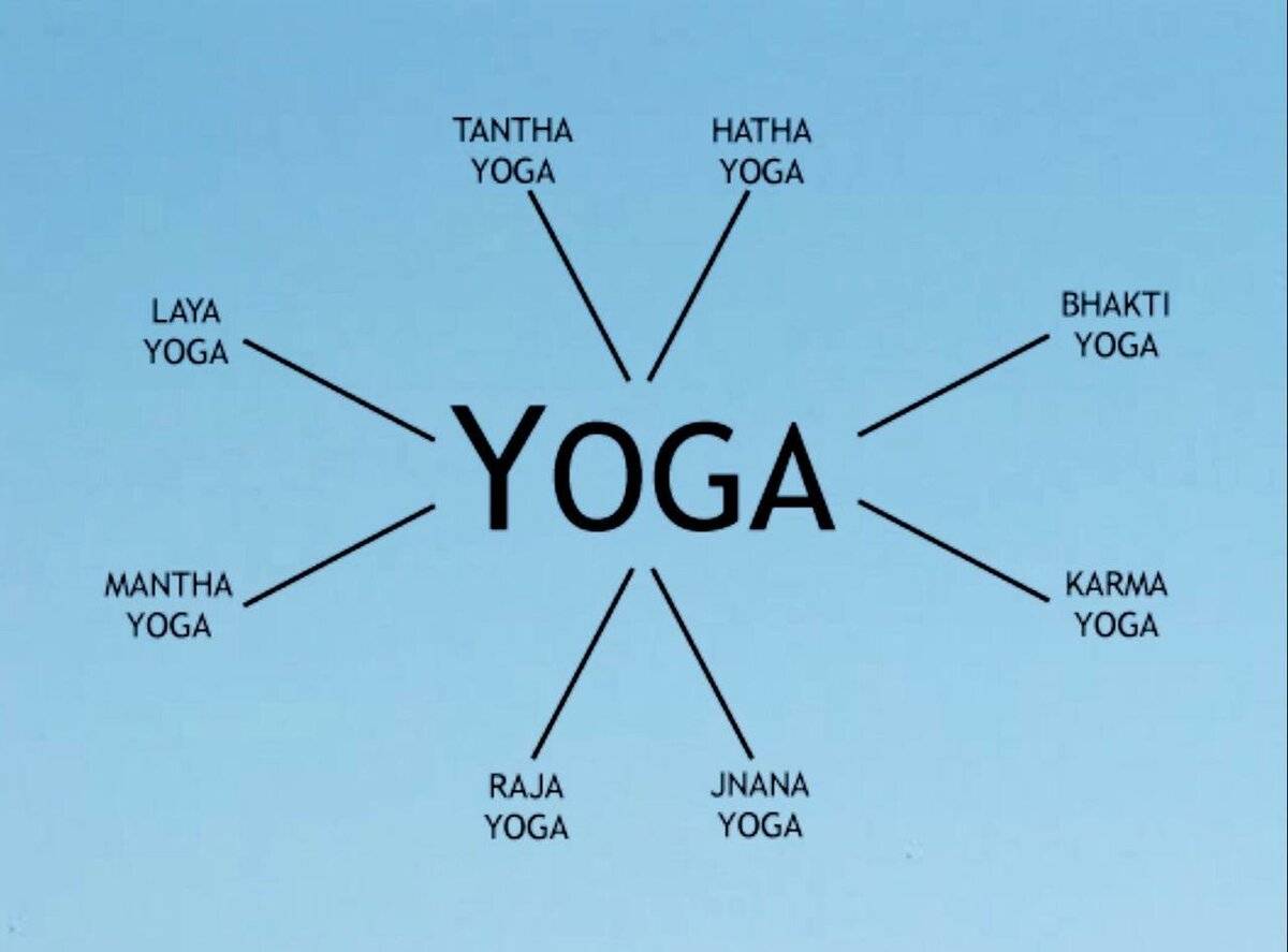 Виды йоги и их отличия | основные стили