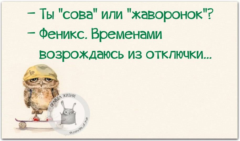 Жаворонки против сов: надо ли себя ломать