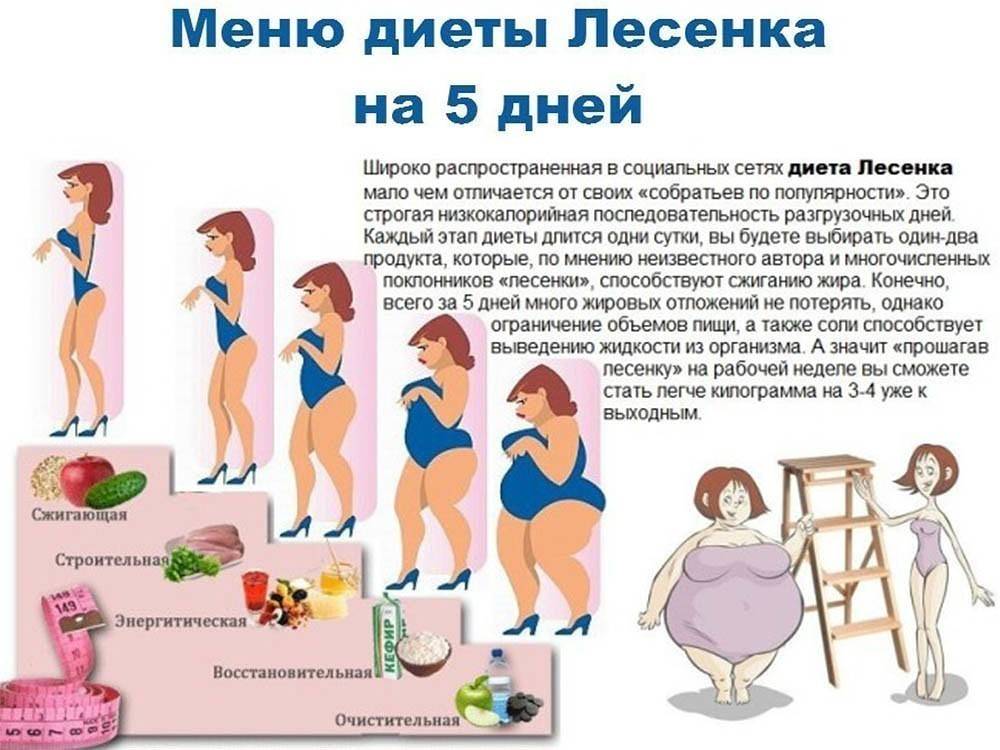 Эффективное снижение жировой массы за четыре дня упражнений и ограничения калорийности питания | fpa