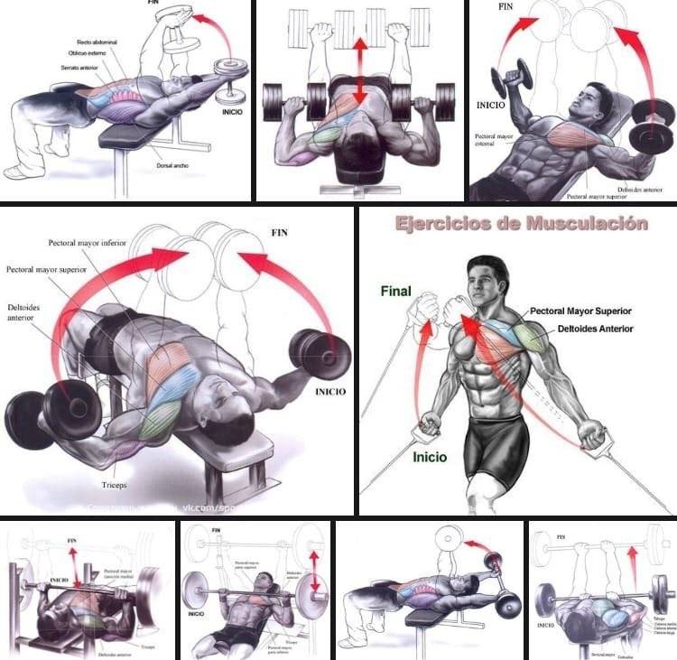 Как накачать грудные мышцы: программа упражнений для зала и дома