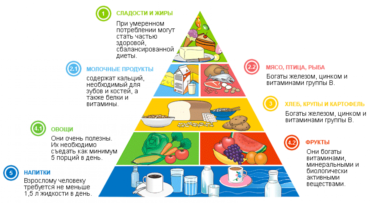 Основные принципы рационального и здорового питания
