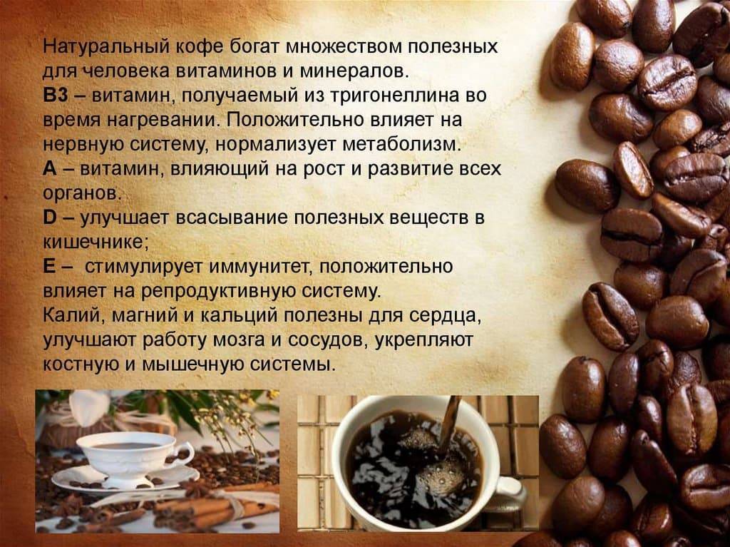12 самых известных мифов о кофе - фактчекинг от tea.ru