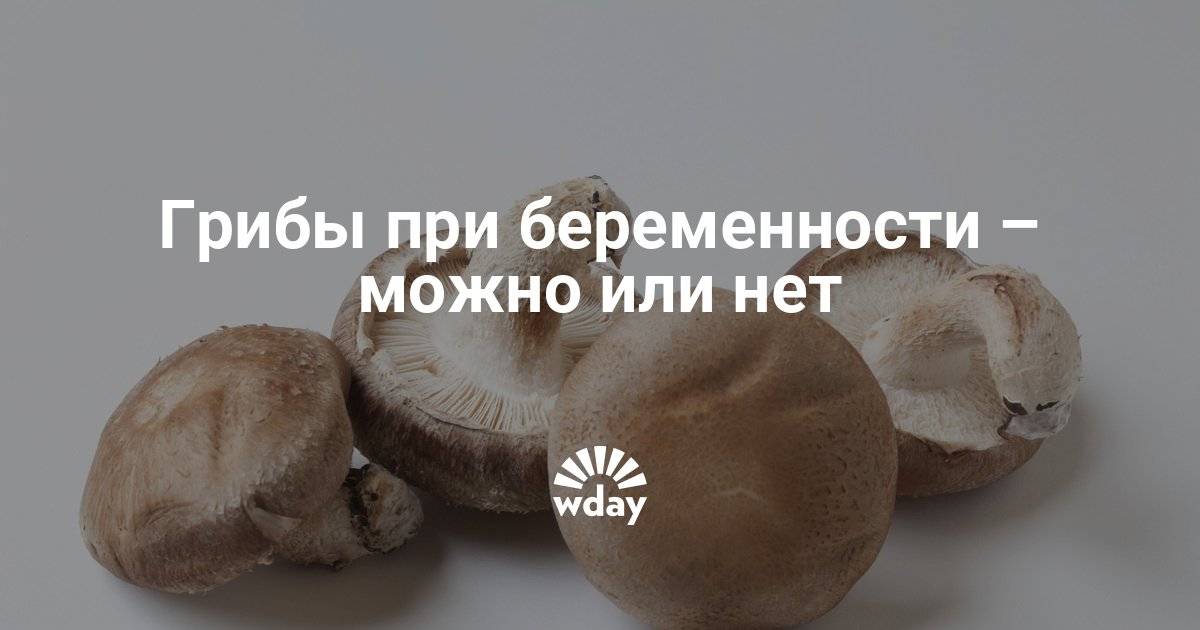 Сколько перевариваются грибы в организме человека?
