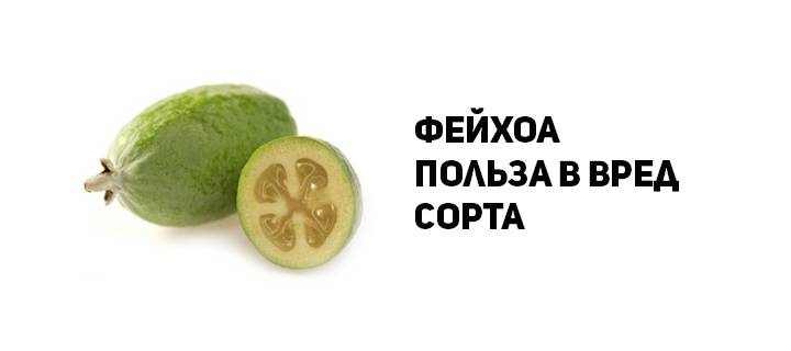 Секреты эффективного санаторного лечения: советы курортолога - нолтрекс.