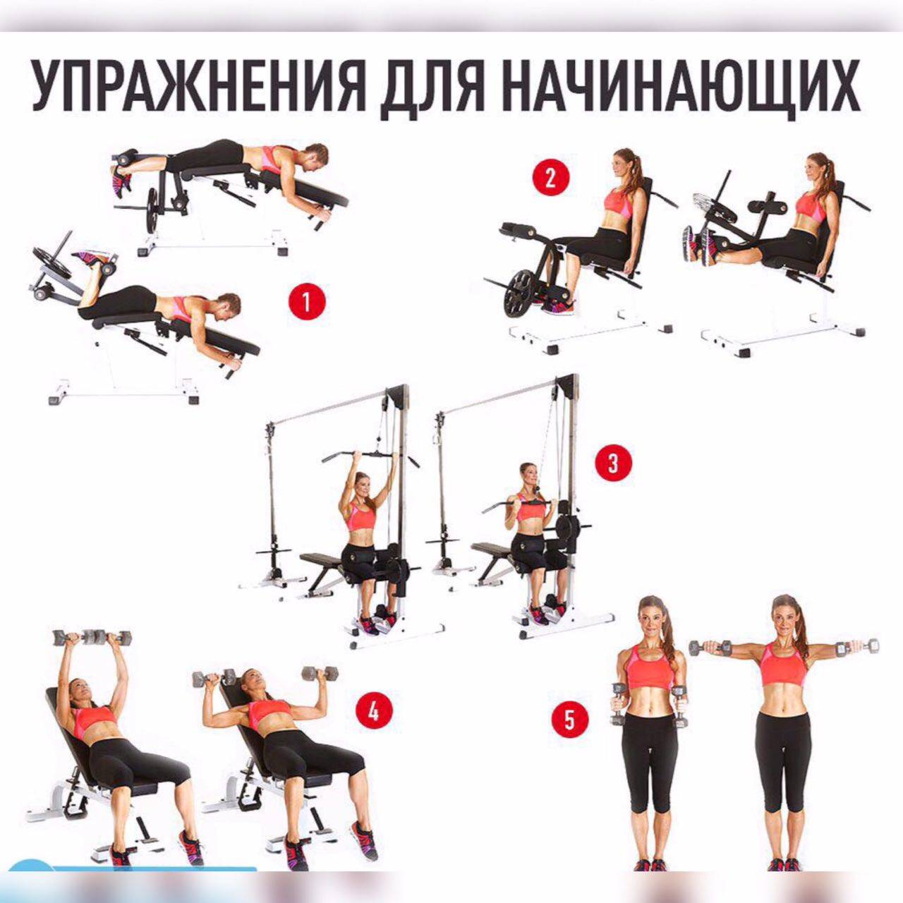 Программа тренировок в тренажерном зале для девушек: как составить комплекс упражнений