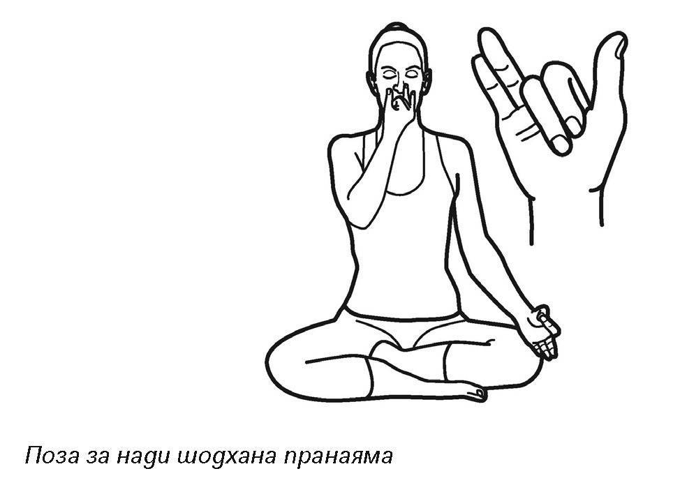 8. различные техники пранаямы. йога и аюрведа в 10 простых уроках