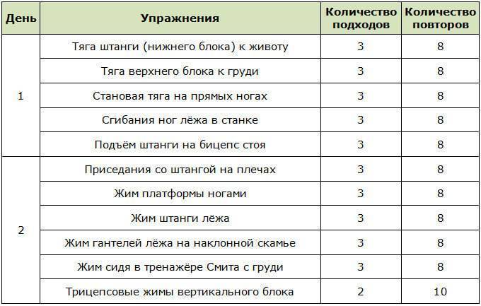 Двухдневный сплит на массу для эктоморфа, мезоморфа, эндоморфа