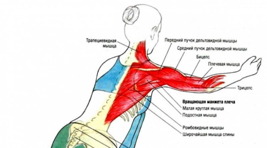 Боль под правой лопаткой сзади со стороны спины: причины жжения, что болит