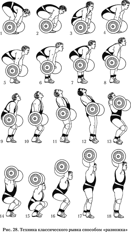 Рывок штанги с пола: тренировка и техника выполнения в тяжелой атлетике | irksportmol.ru