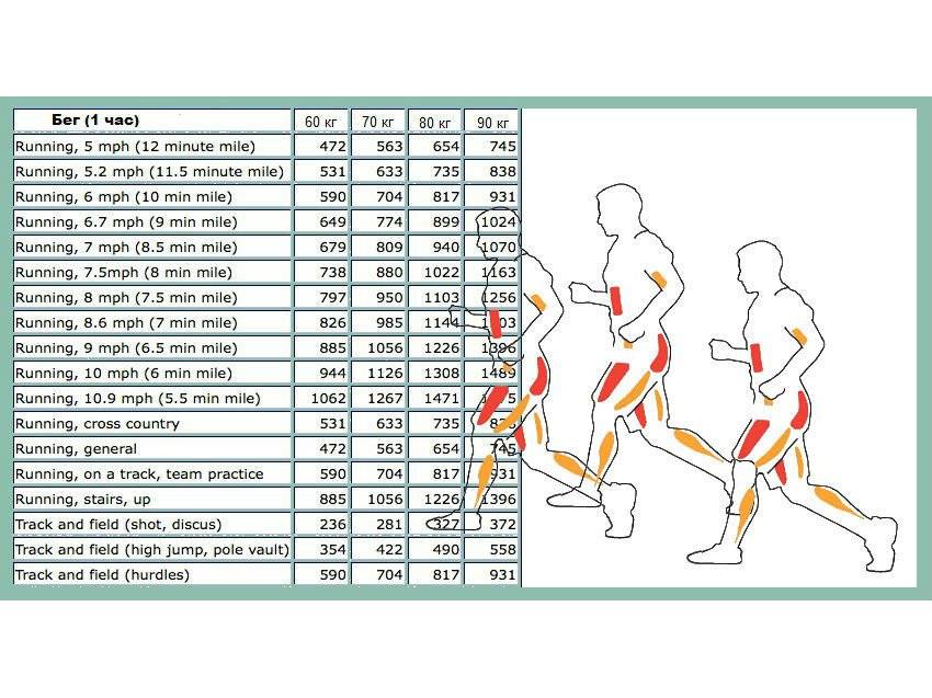 Особенности расхода калорий во время скандинавской ходьбы