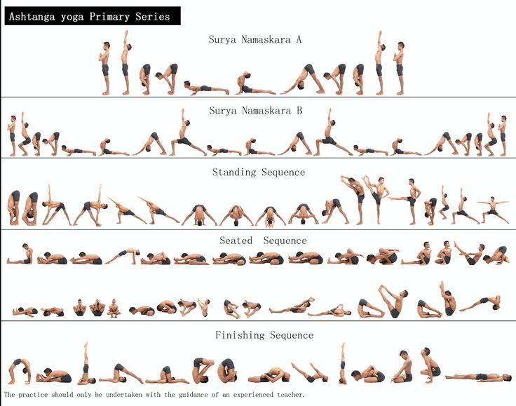 Аштанга виньяса йога: особенности и форматы практики асан для начинающих
