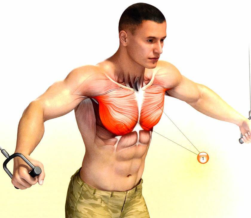 Как накачать мышцы груди. 6 эффективных программ