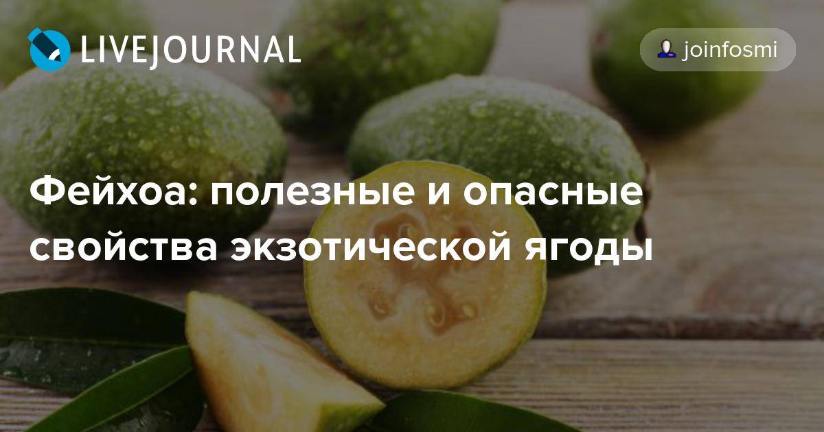 Прессотерапия: что это, показания и противопоказания к процедуре