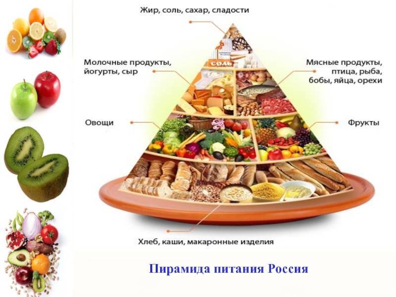 Пирамида питания – цели и рекомендации ученых по здоровому питанию | | gastrogid.ru