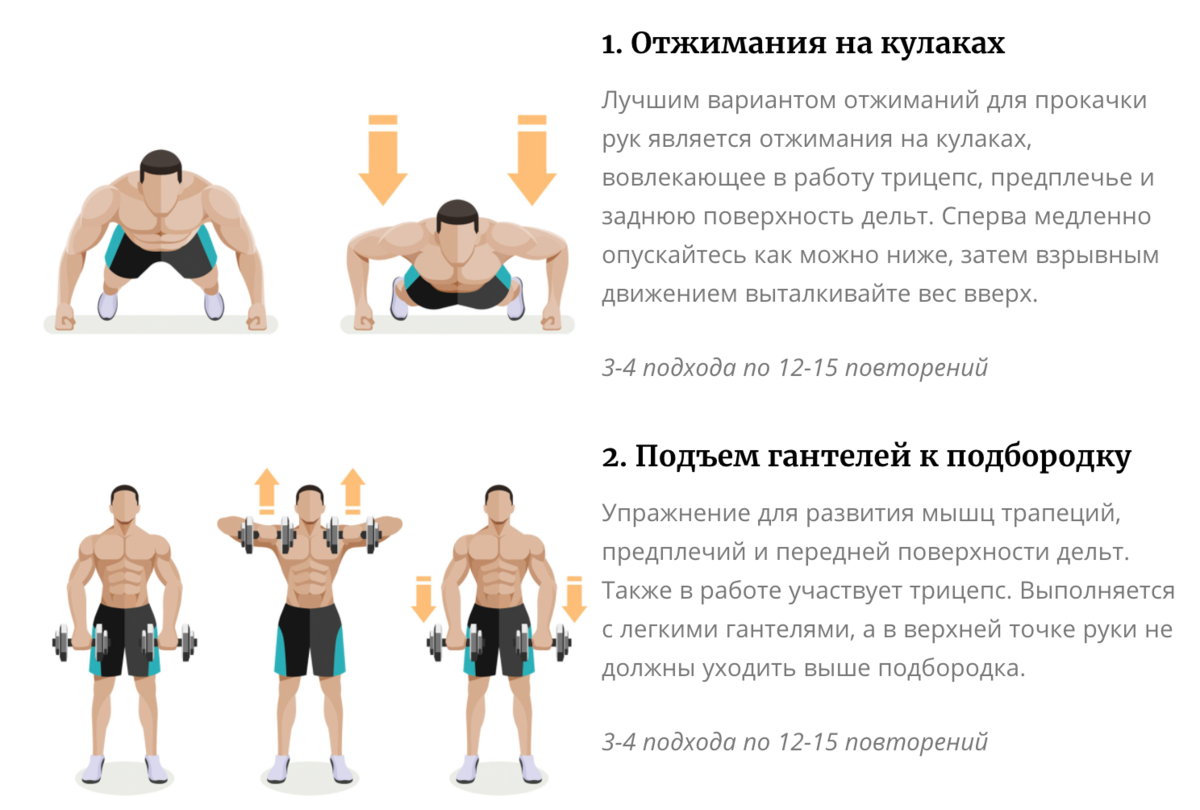 Упражнения для рук в тренажерном зале * как накачать мышцы рук, эффективный комплекс для мужчин и женщин с базовыми упражнениями