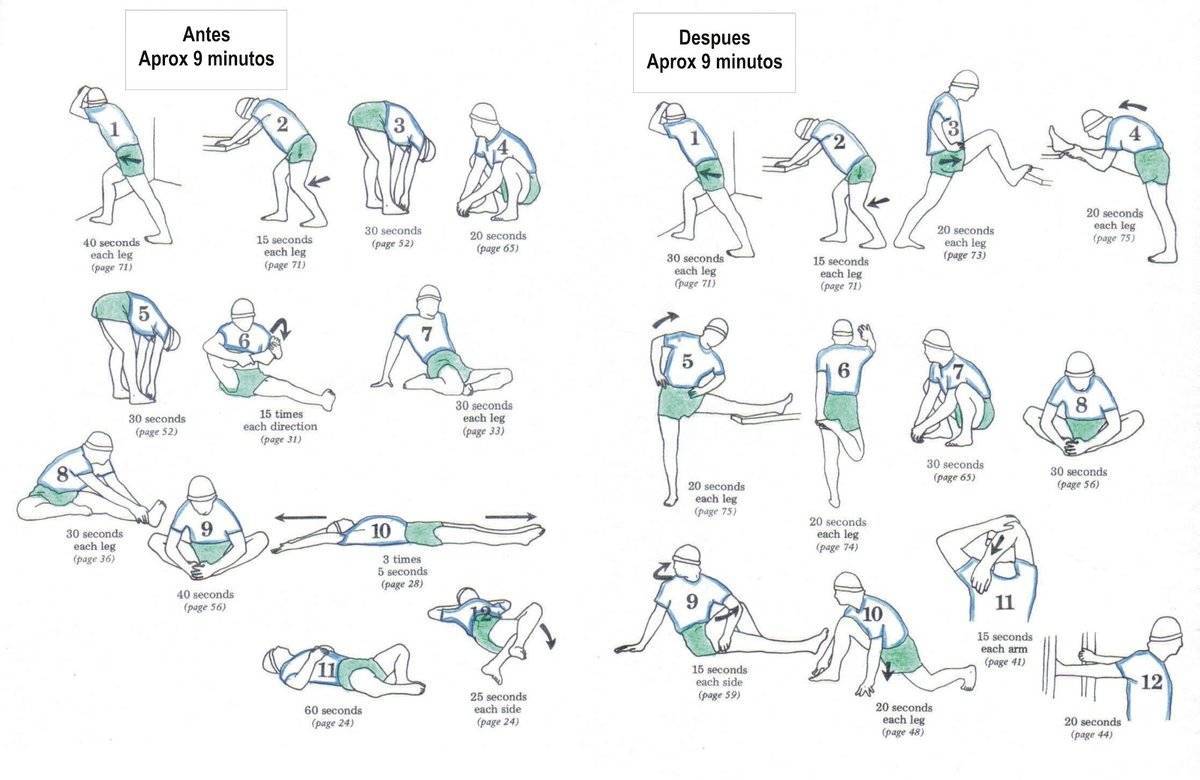 Разминка перед тренировкой | упражнения для растяжки и разминки