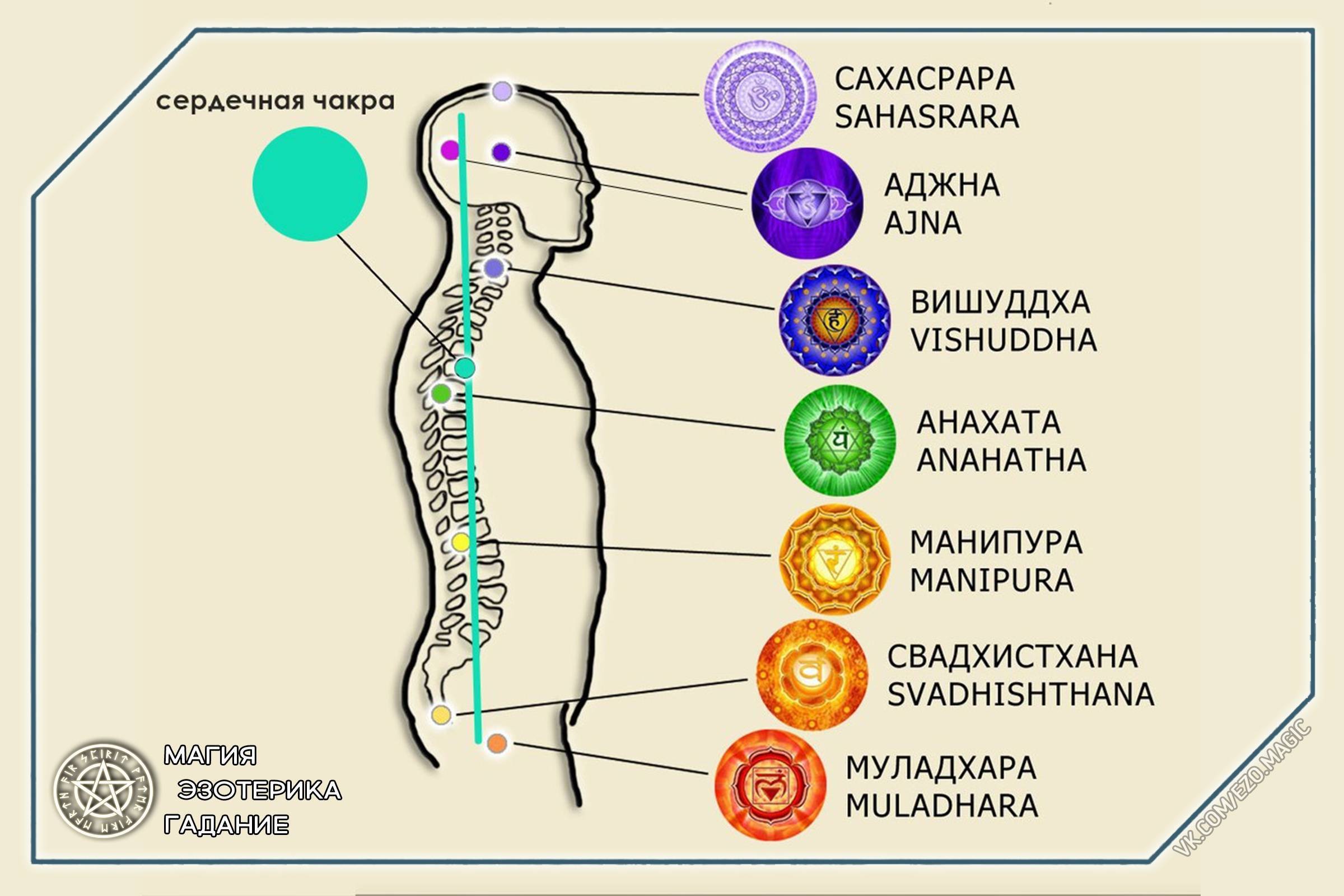 Муладхара чакра — за что отвечает и как ее развивать