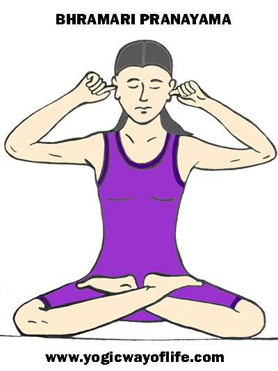 Пранаяма для начинающих: техника дыхания и упражнения