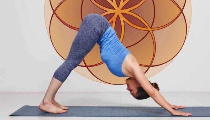 Yoga flows & basics | your om