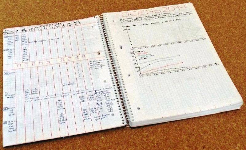 Как вести дневник тренировок: шаблон и примеры
