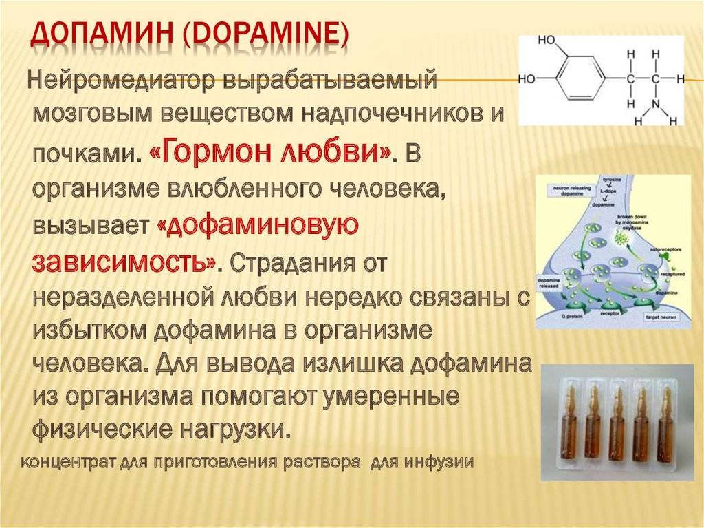 Что такое дофамин простыми словами: гормон допамин инструкция по применению