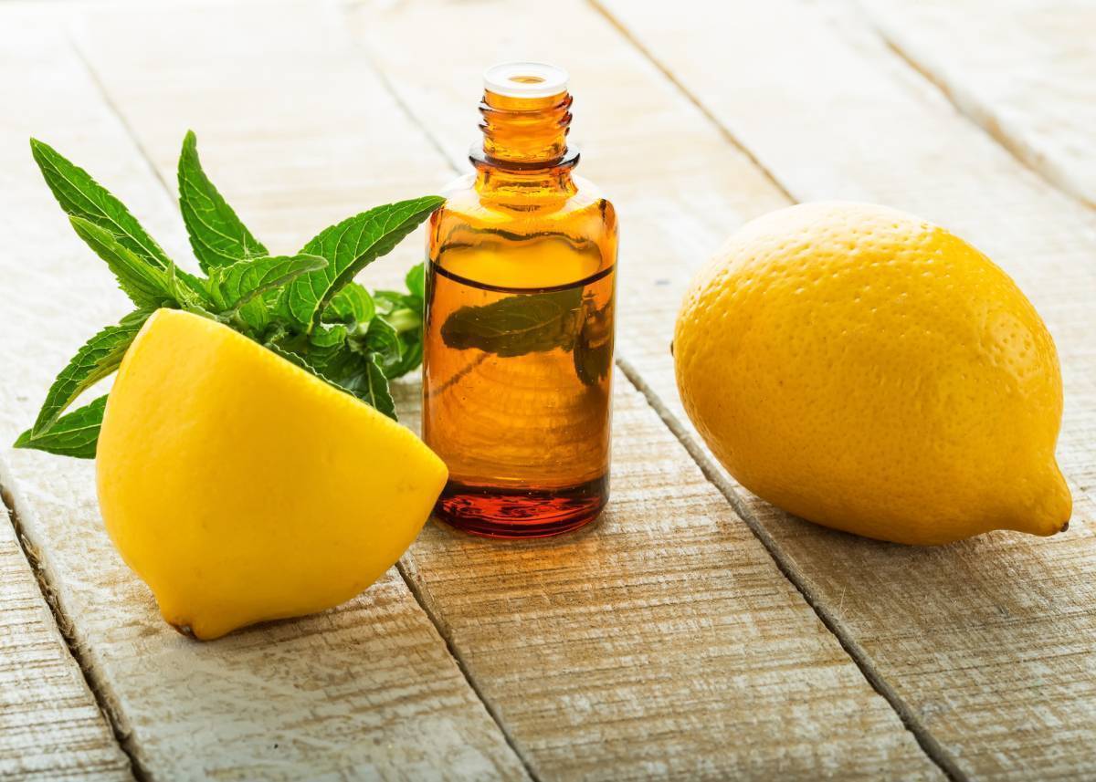 Эфирное масло лимона: свойства, применение, отзывы :: syl.ru