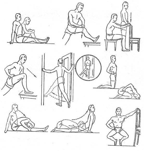 Упражнения для коленного сустава – укрепляем колени