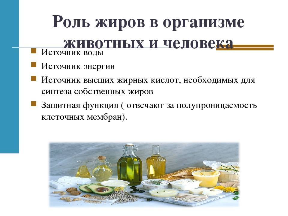 Жиры